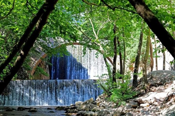 Villa Gomfoi Trikala - Smart Town Bnb Εξωτερικό φωτογραφία