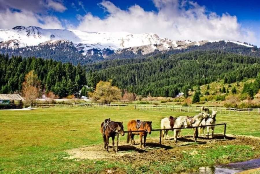 Villa Gomfoi Trikala - Smart Town Bnb Εξωτερικό φωτογραφία