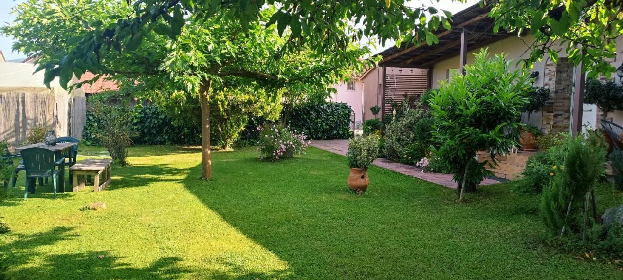 Villa Gomfoi Trikala - Smart Town Bnb Εξωτερικό φωτογραφία