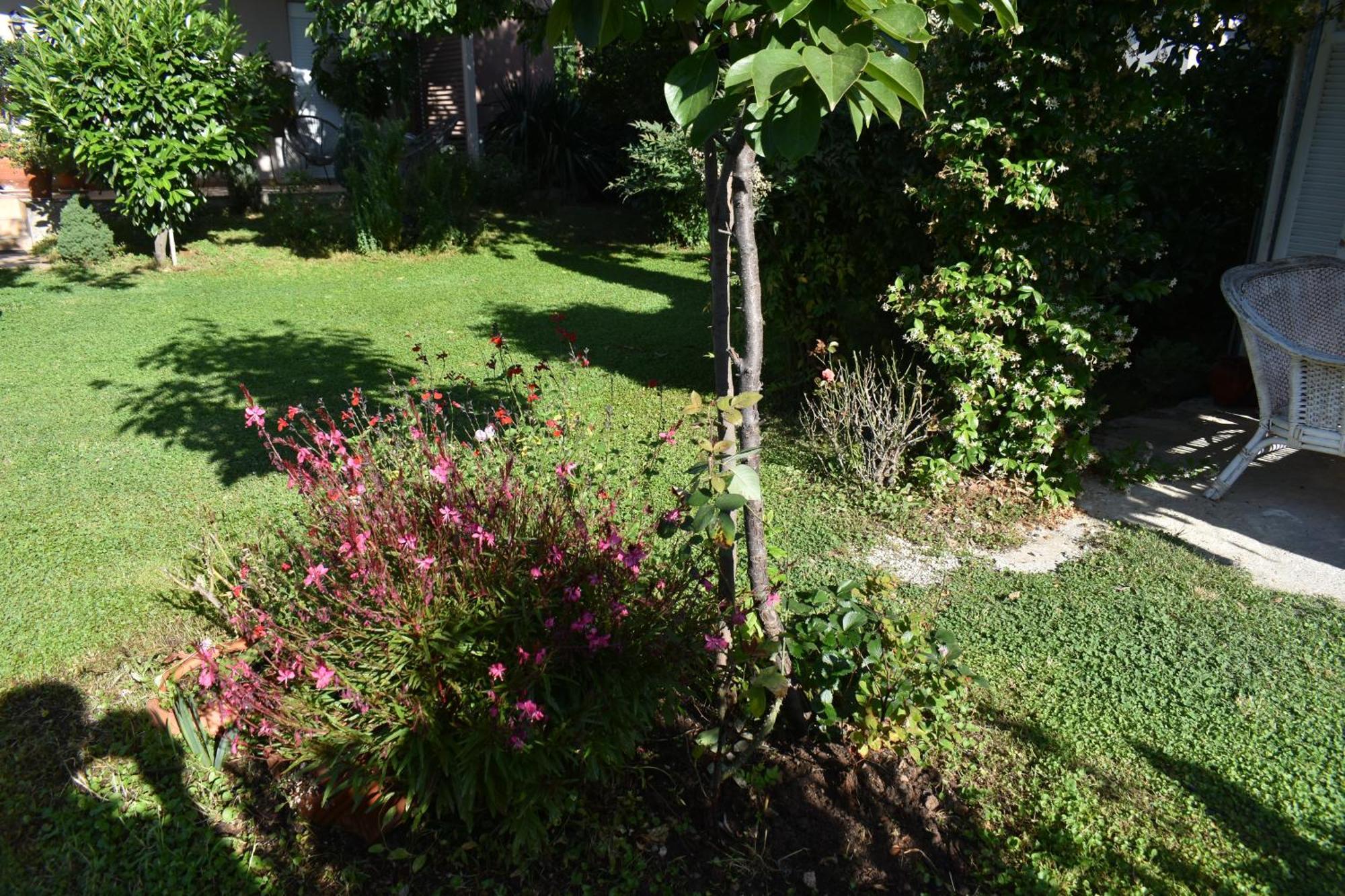 Villa Gomfoi Trikala - Smart Town Bnb Εξωτερικό φωτογραφία