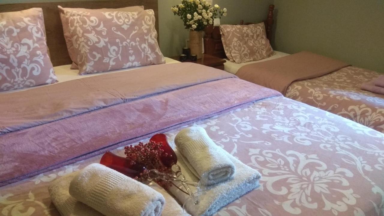 Villa Gomfoi Trikala - Smart Town Bnb Εξωτερικό φωτογραφία